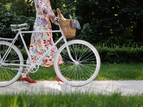 Fietstocht Fietstocht