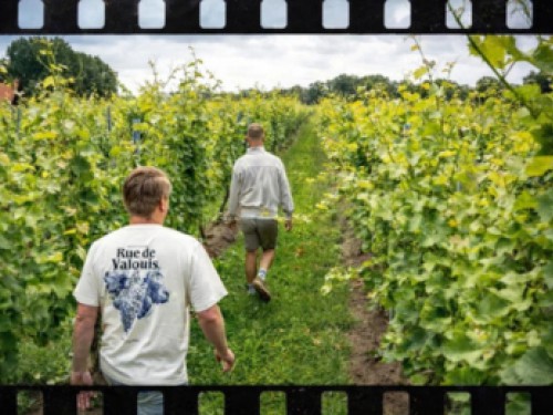 Wijnproeverij & Film