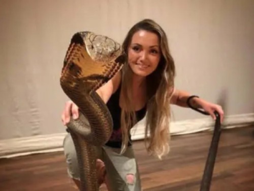 Sterrin Smalbrugge - Reptielen Fanaat Sterrin Smalbrugge - Reptielen Fanaat