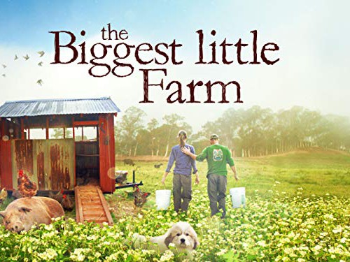Film: The biggest little farm Film: The biggest little farm