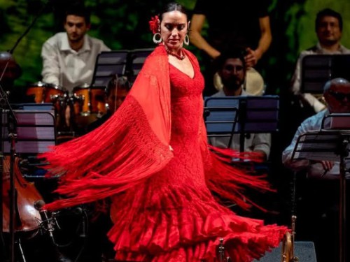 Flamenco workshop Flamenco workshop