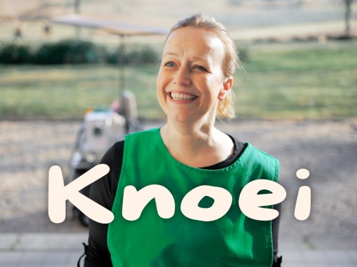 Kindertheater: Knoei 3+ Kindertheater: Knoei 3+
