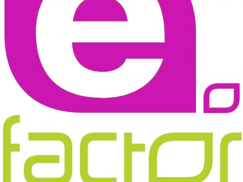 E Factor 2020 E Factor 2020