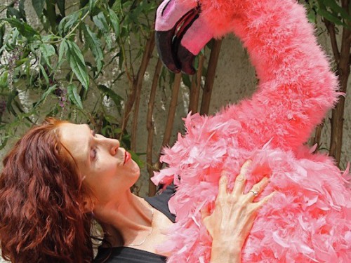 Roos Dansverhalen: Hela Flaminga