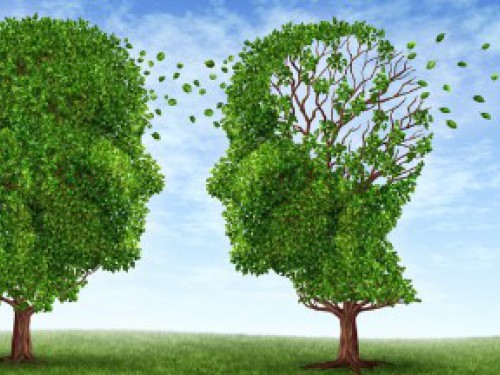 Themaochtend: Omgaan met alzheimer Themaochtend: Omgaan met alzheimer