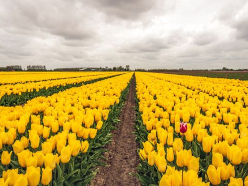 De kracht van verbinding De kracht van verbinding