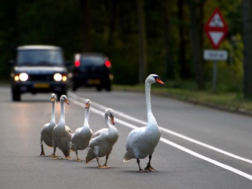 Themacafé: Interactieve workshop fotografie Themacafé: Interactieve workshop fotografie