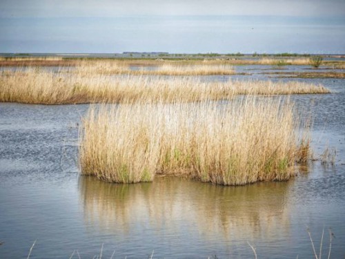 Themacaf&eacute;: Marker Wadden