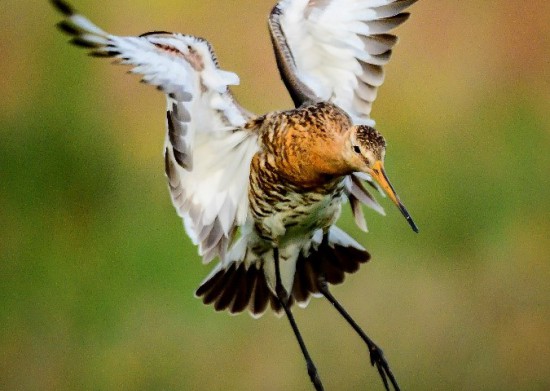 Expositie: fotograaf Hung Hoang Expositie: fotograaf Hung Hoang