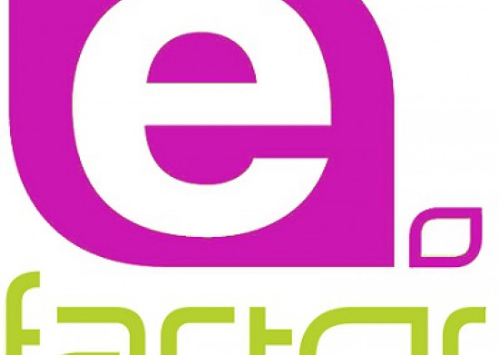 E-Factor 2020 E-Factor 2020